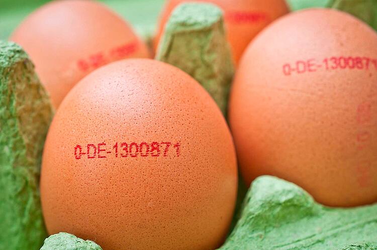 Eierkennzeichnung: Was sagt der Stempel auf dem Ei?