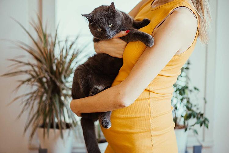 Schwangere mit einer Katze auf dem Arm