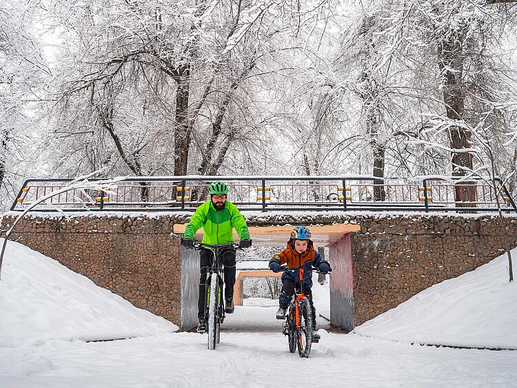 Licht ist Pflicht: Sicher Radfahren in Herbst und Winter