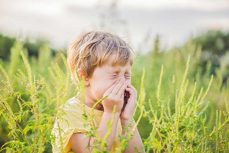 Kleiner Junge niest in einer blühenden Wiesev