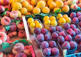 Verschiedene Sorten Steinobst in Obstkisten.